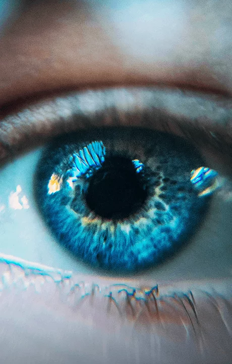 Webinar_Iridology_Mobile